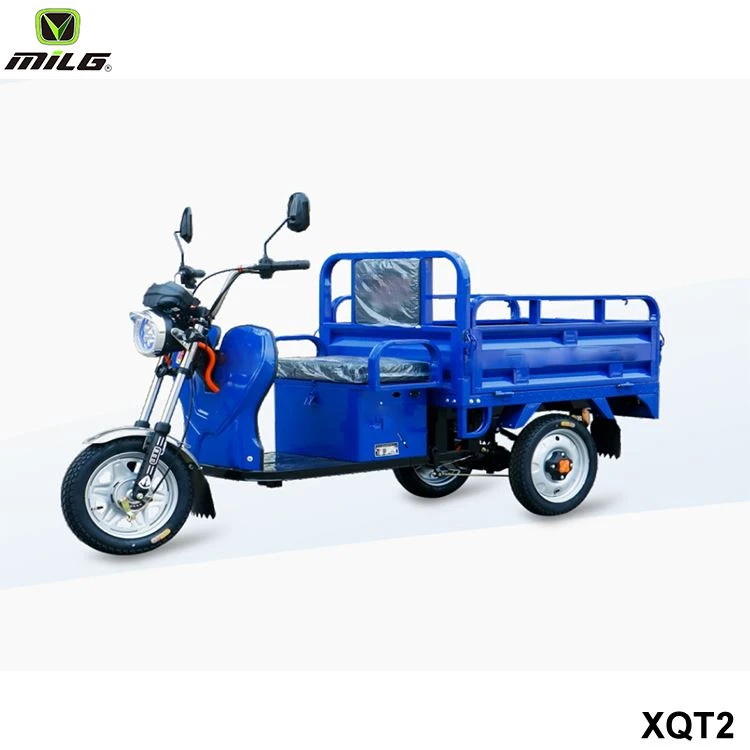 Electric Cargo Tricycle For Adults